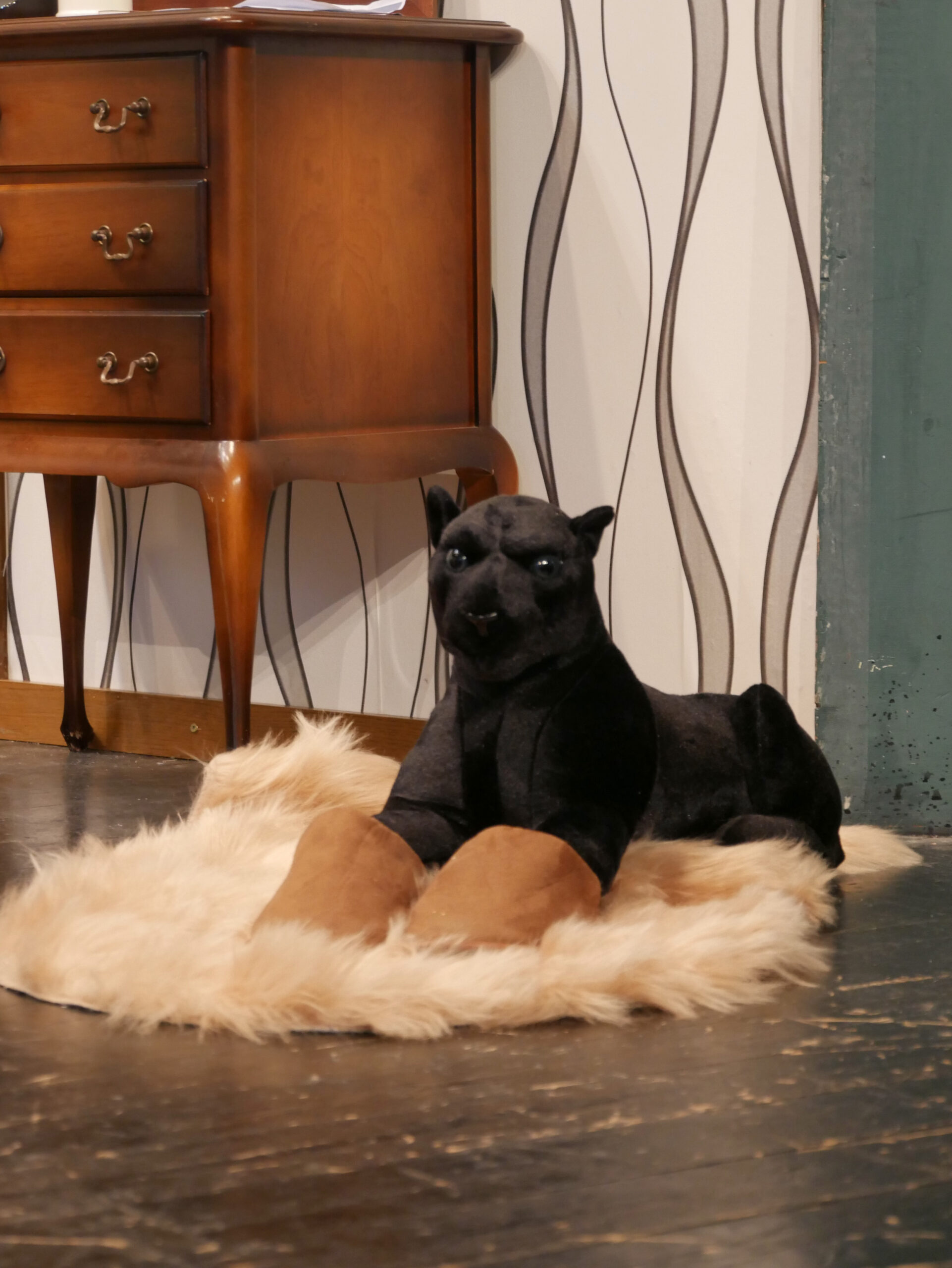 Der Pantoffel-Panther Bild1